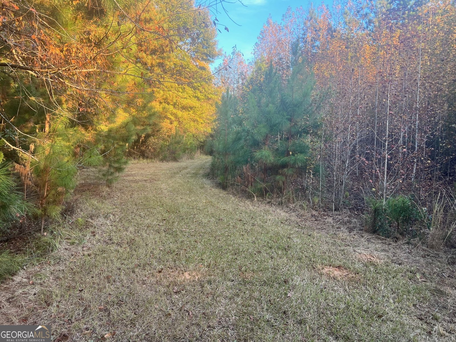 125 Karen Drive McDonough - 47