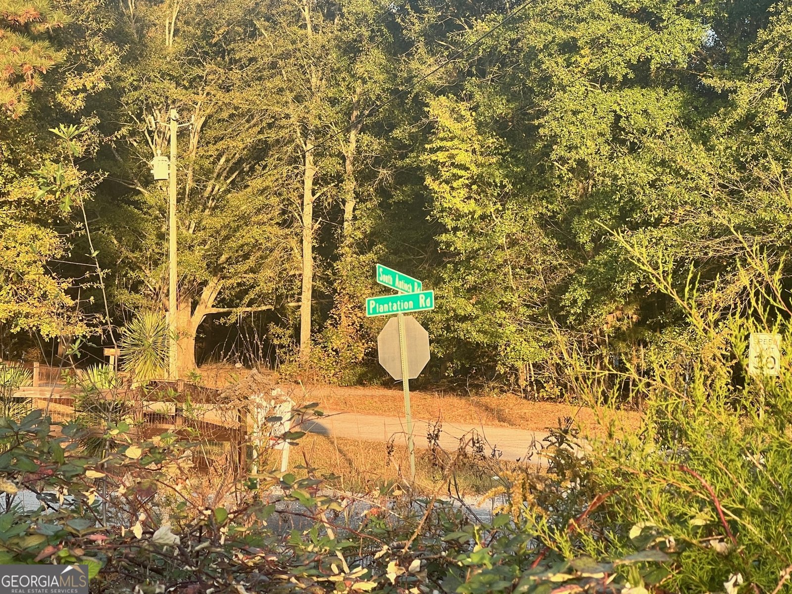 125 Karen Drive McDonough - 48