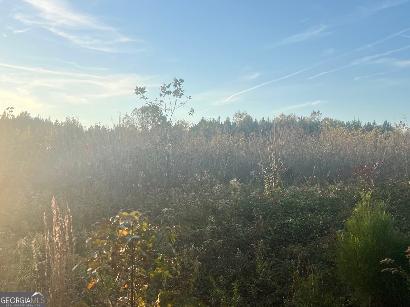 125 Karen Drive McDonough - 50