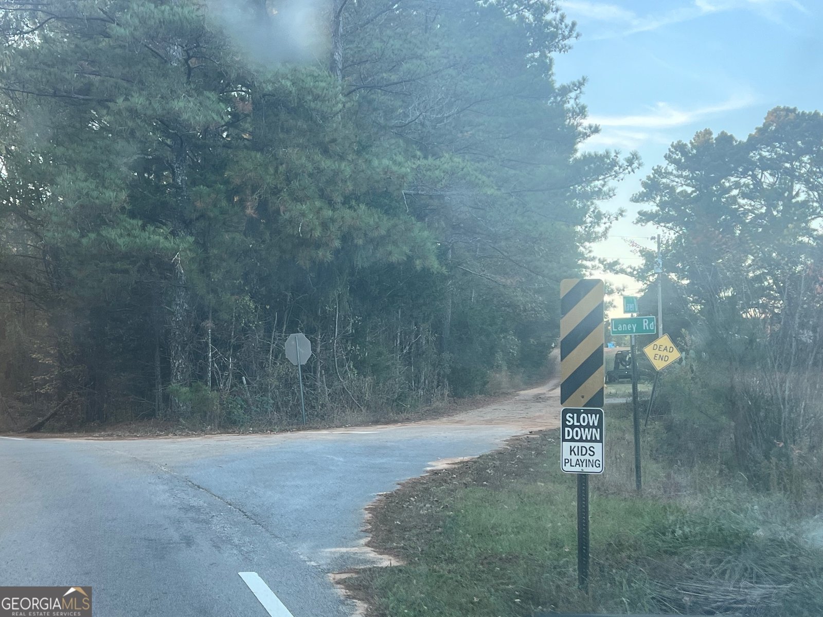 125 Karen Drive McDonough - 52