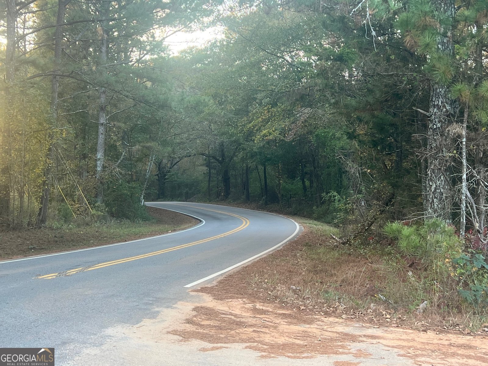 125 Karen Drive McDonough - 59