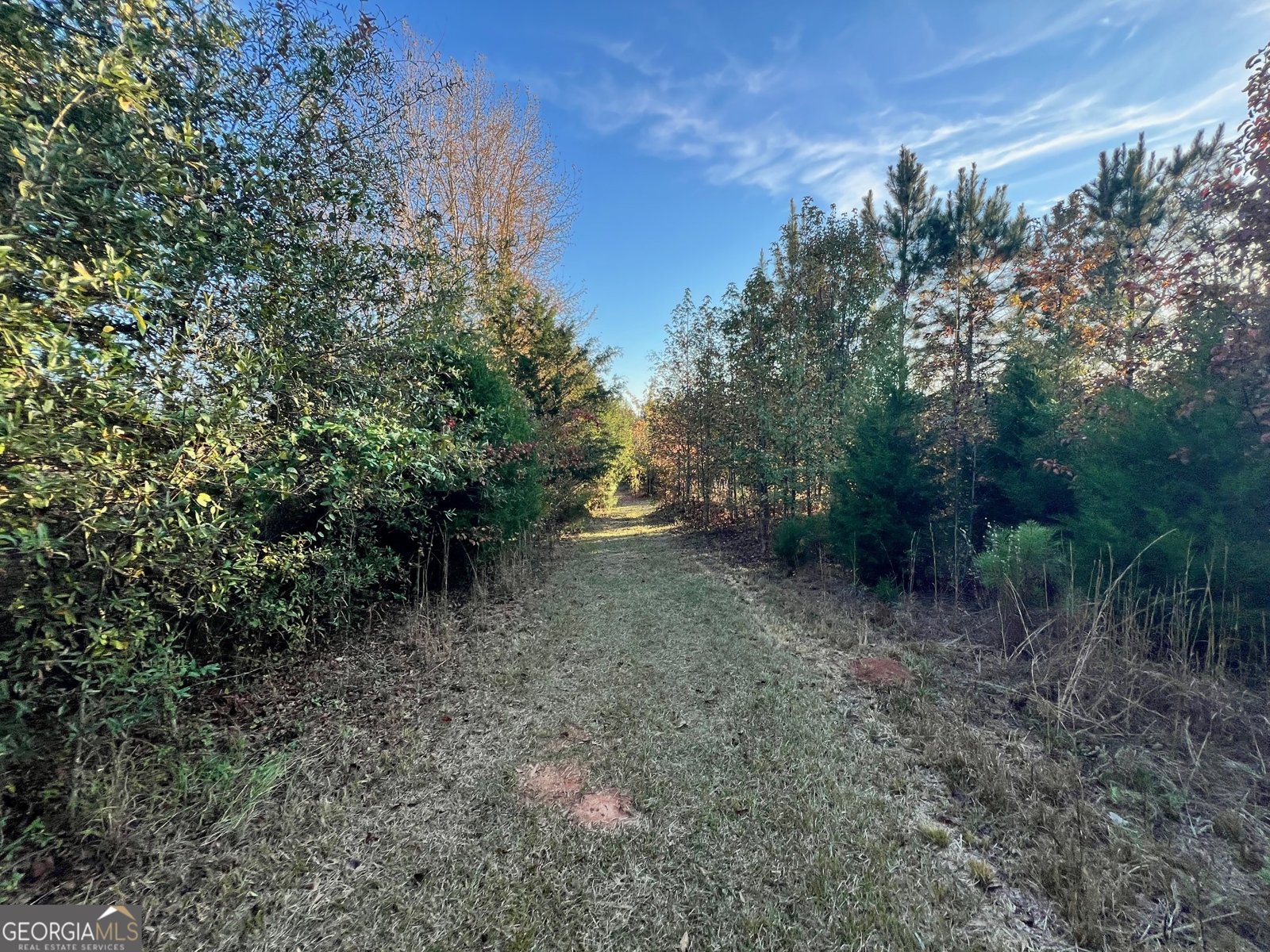 125 Karen Drive McDonough - 6