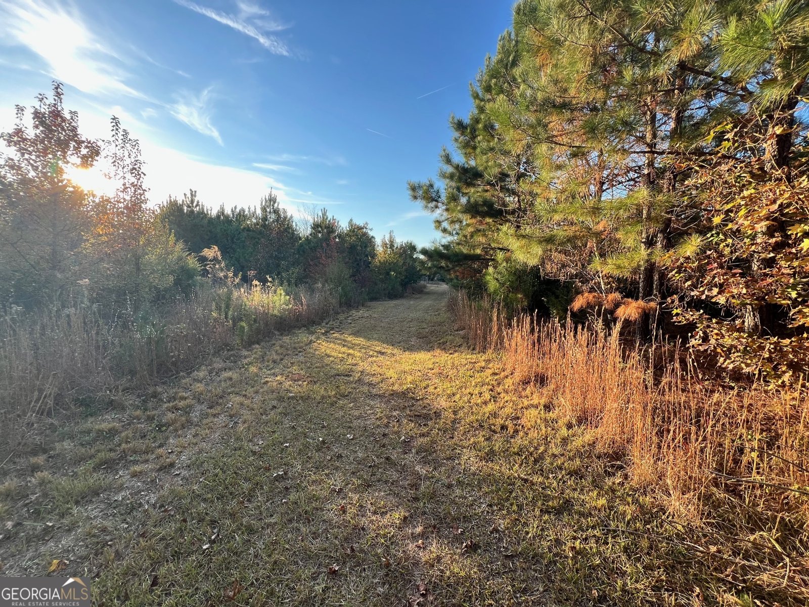 125 Karen Drive McDonough - 7