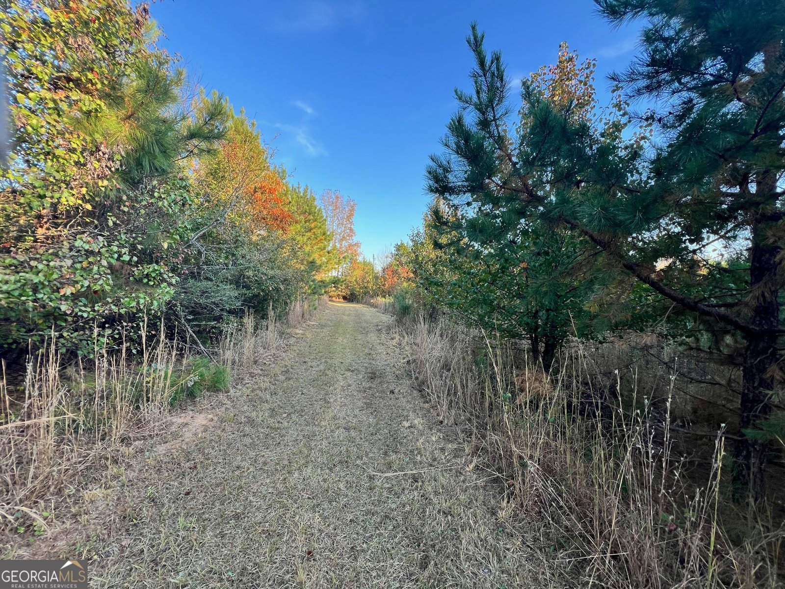 125 Karen Drive McDonough - 8