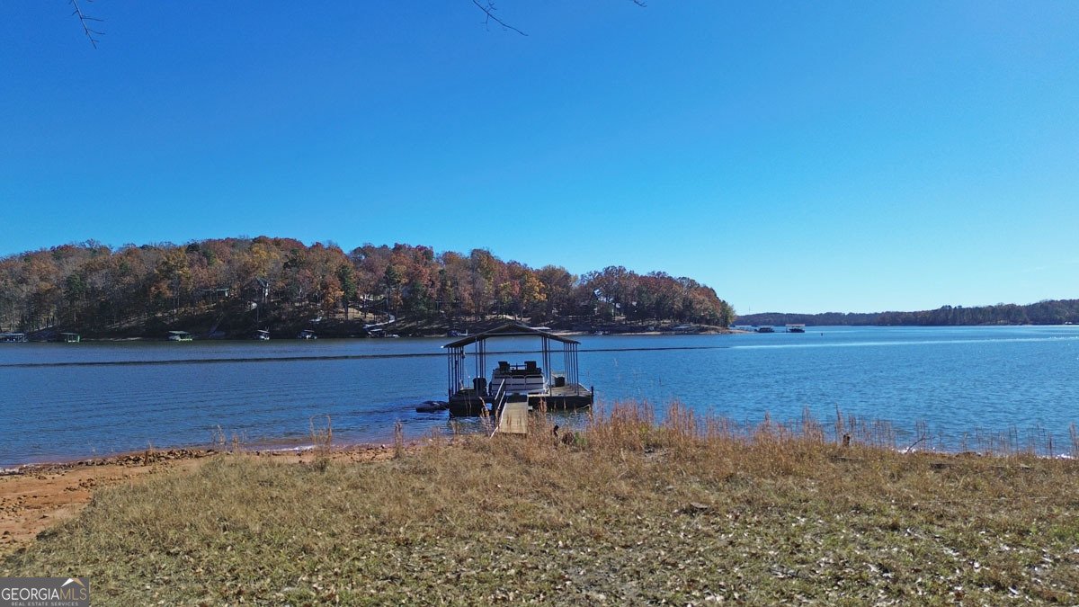 410 Cedar Street Lavonia - 13