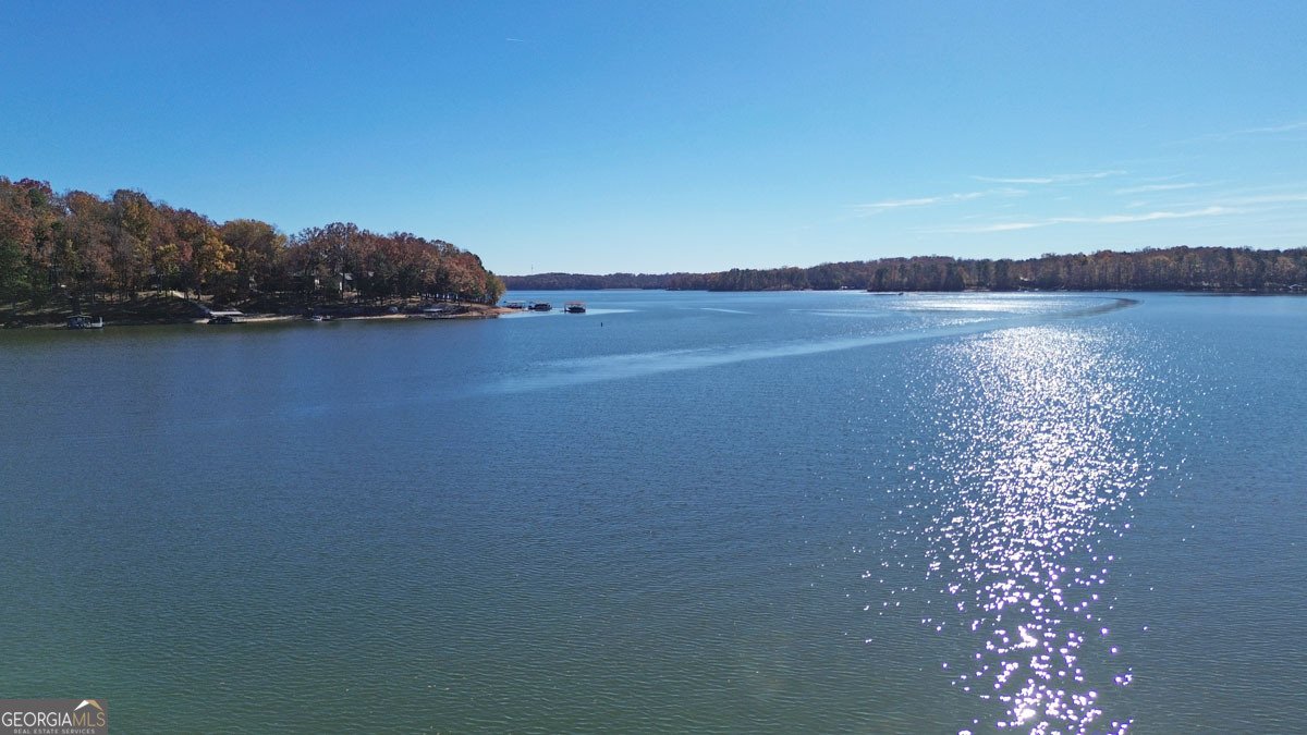 410 Cedar Street Lavonia - 16