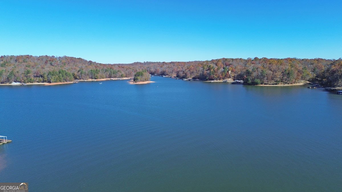 410 Cedar Street Lavonia - 17