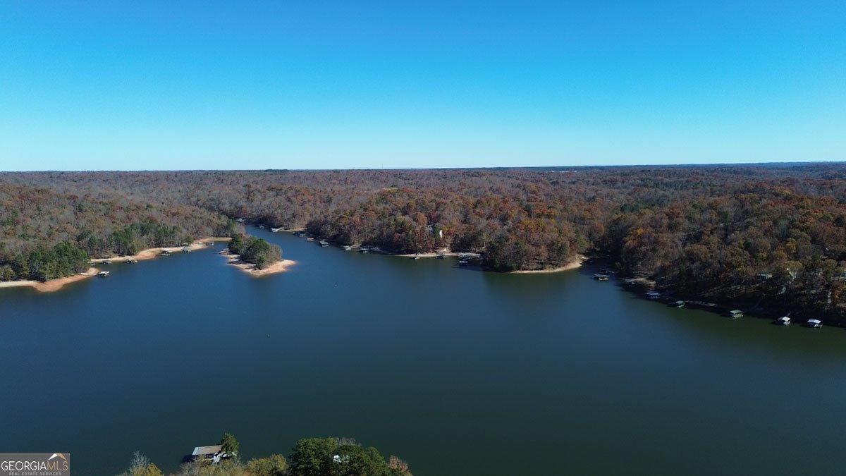 410 Cedar Street Lavonia - 19