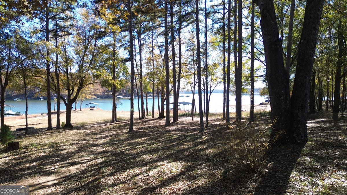 410 Cedar Street Lavonia - 5