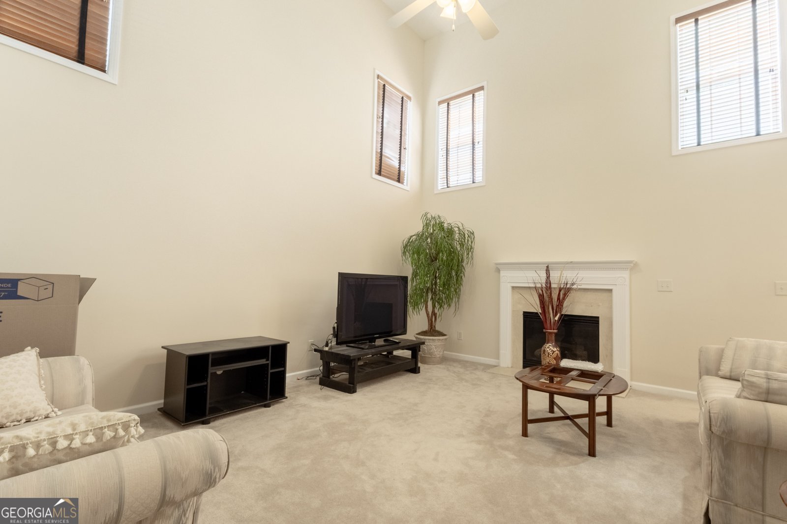 6125 Mulberry Park Drive Braselton - 16