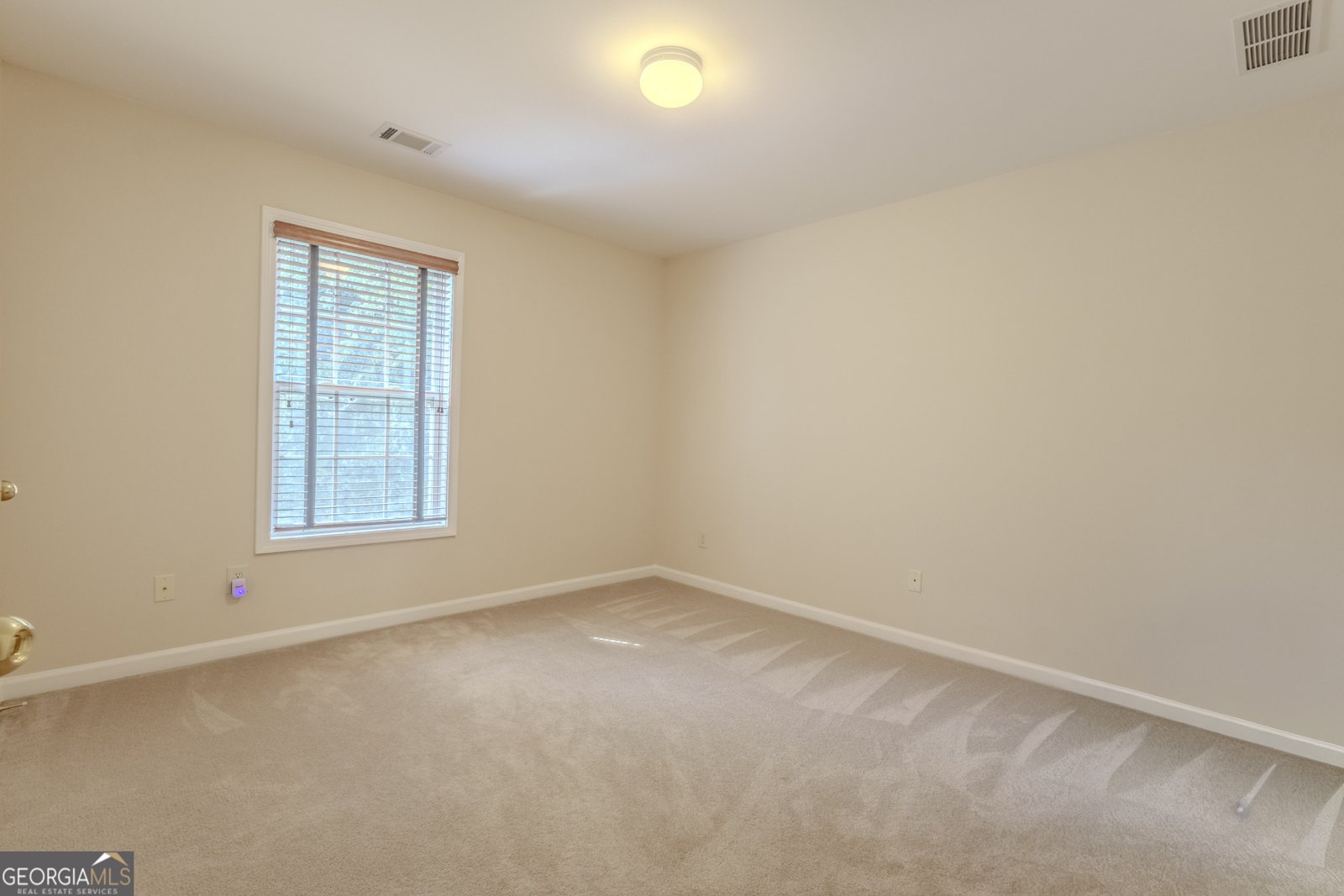 6125 Mulberry Park Drive Braselton - 19