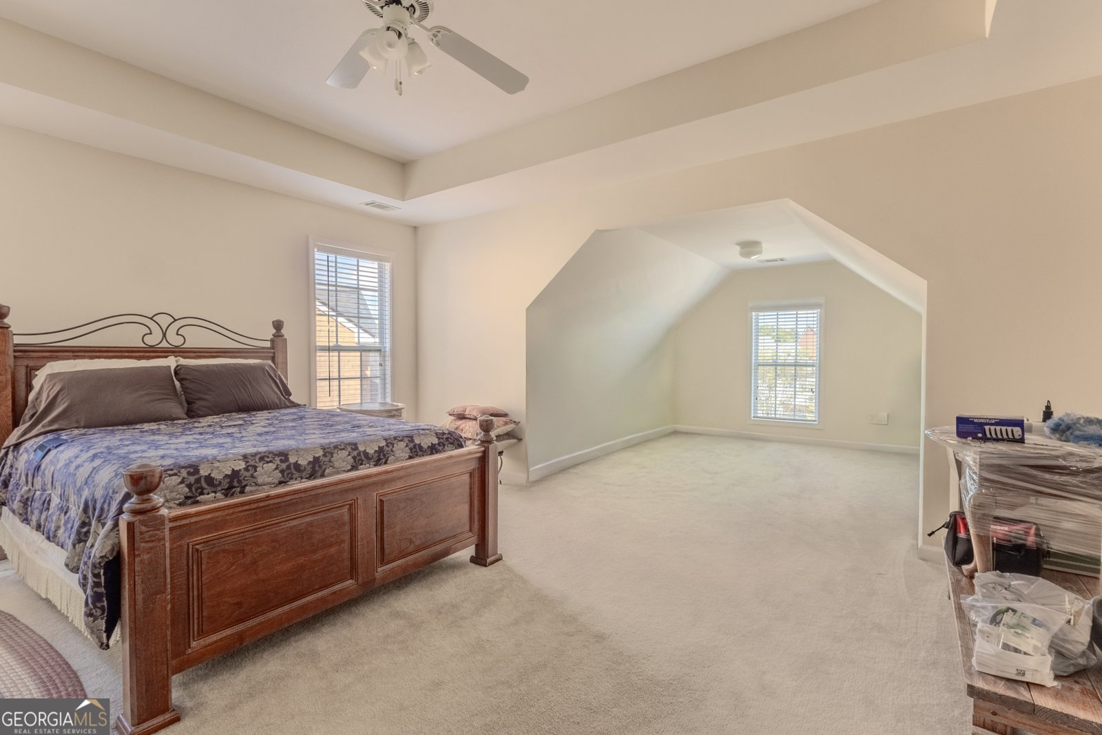 6125 Mulberry Park Drive Braselton - 22