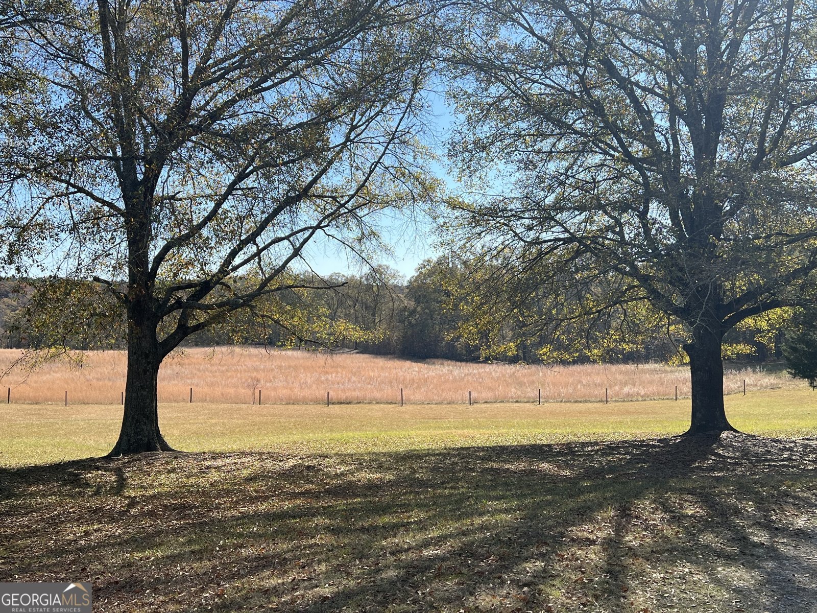 1044 Sardis Road Rayle - 47