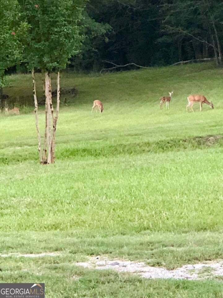 1044 Sardis Road Rayle - 62