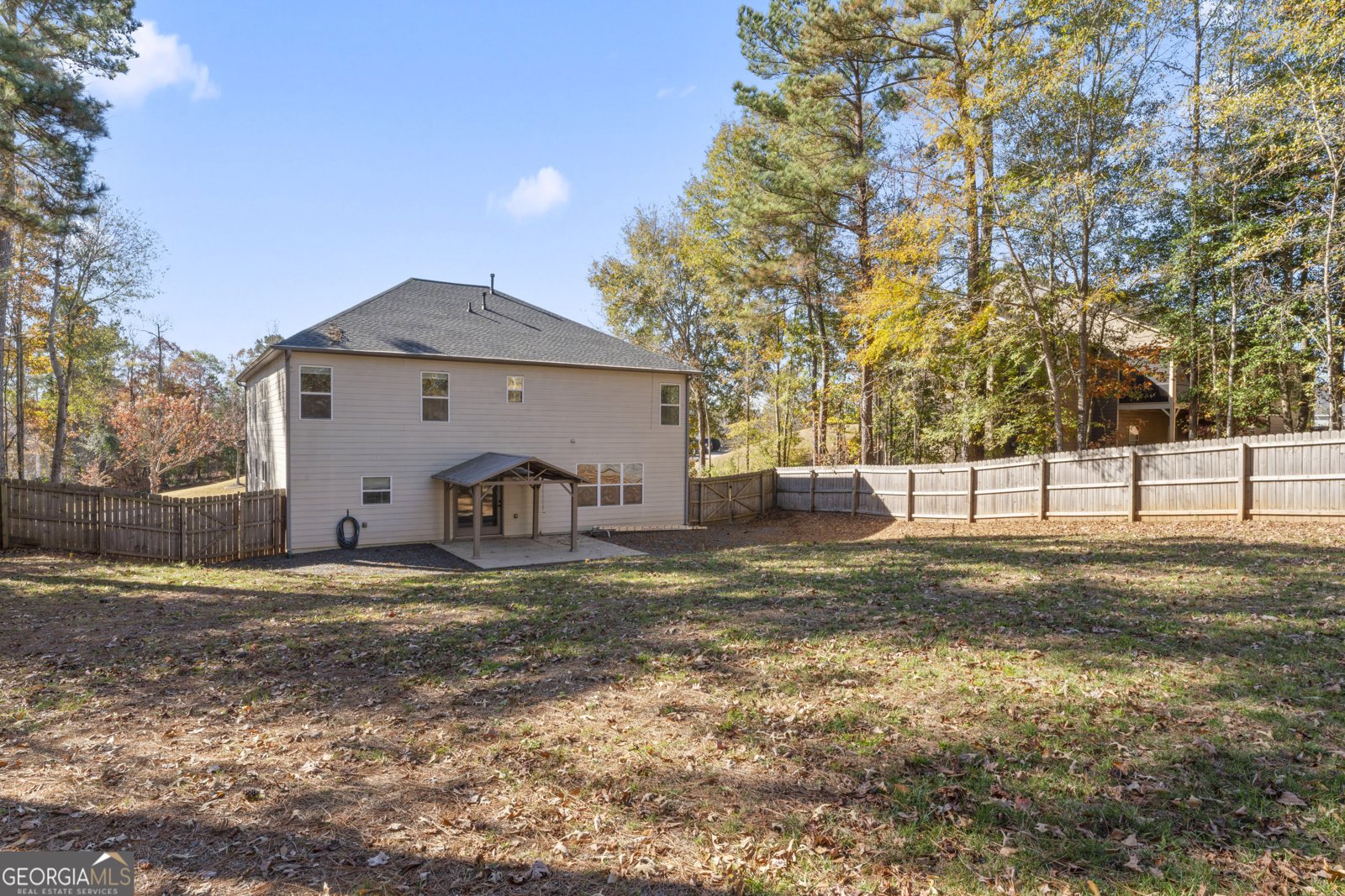 185 Renwick Drive Senoia - 4