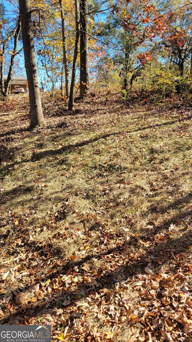 2410 Bolman Road Gainesville - 24