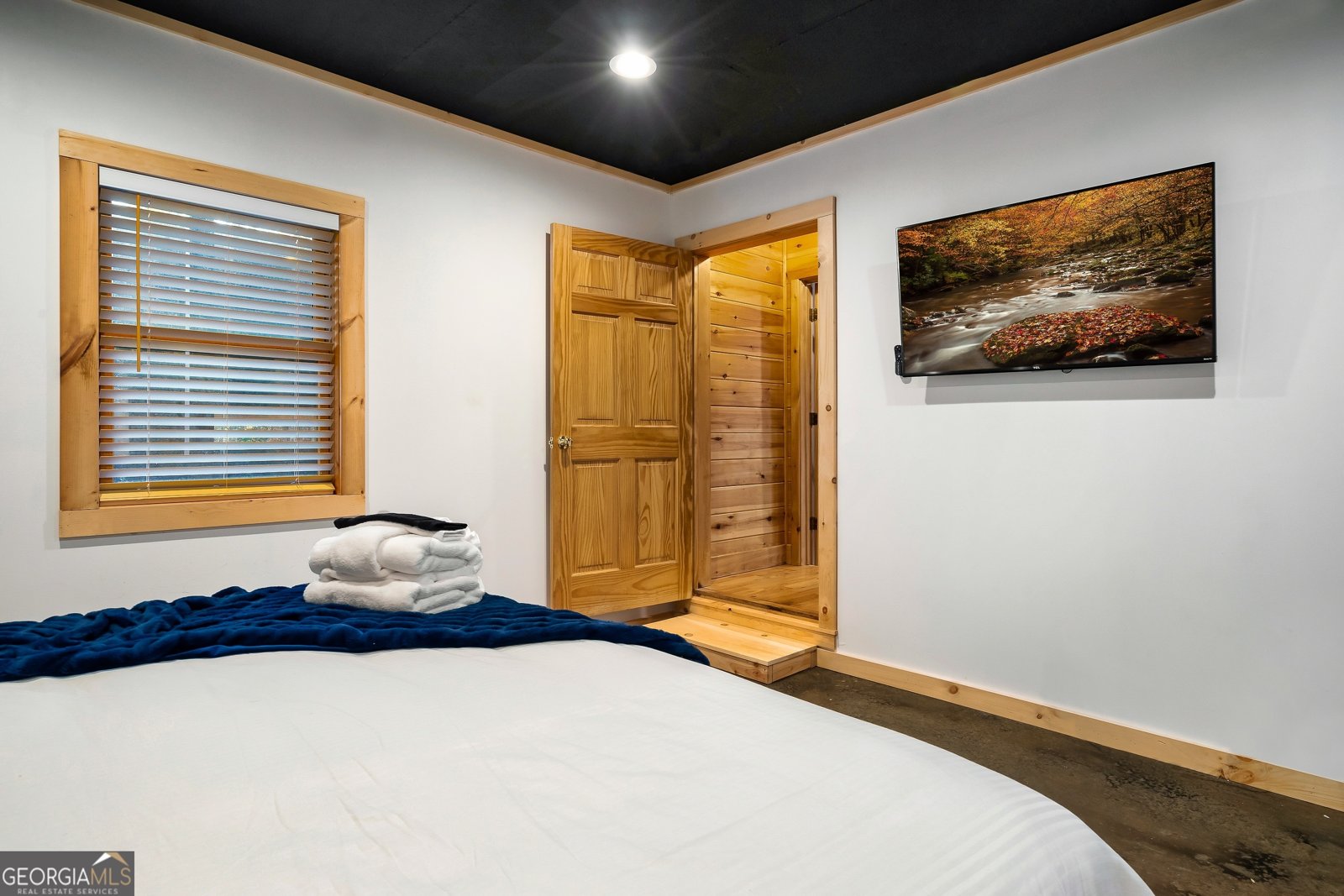 239 Ernest Alta Circle Blue Ridge - 12