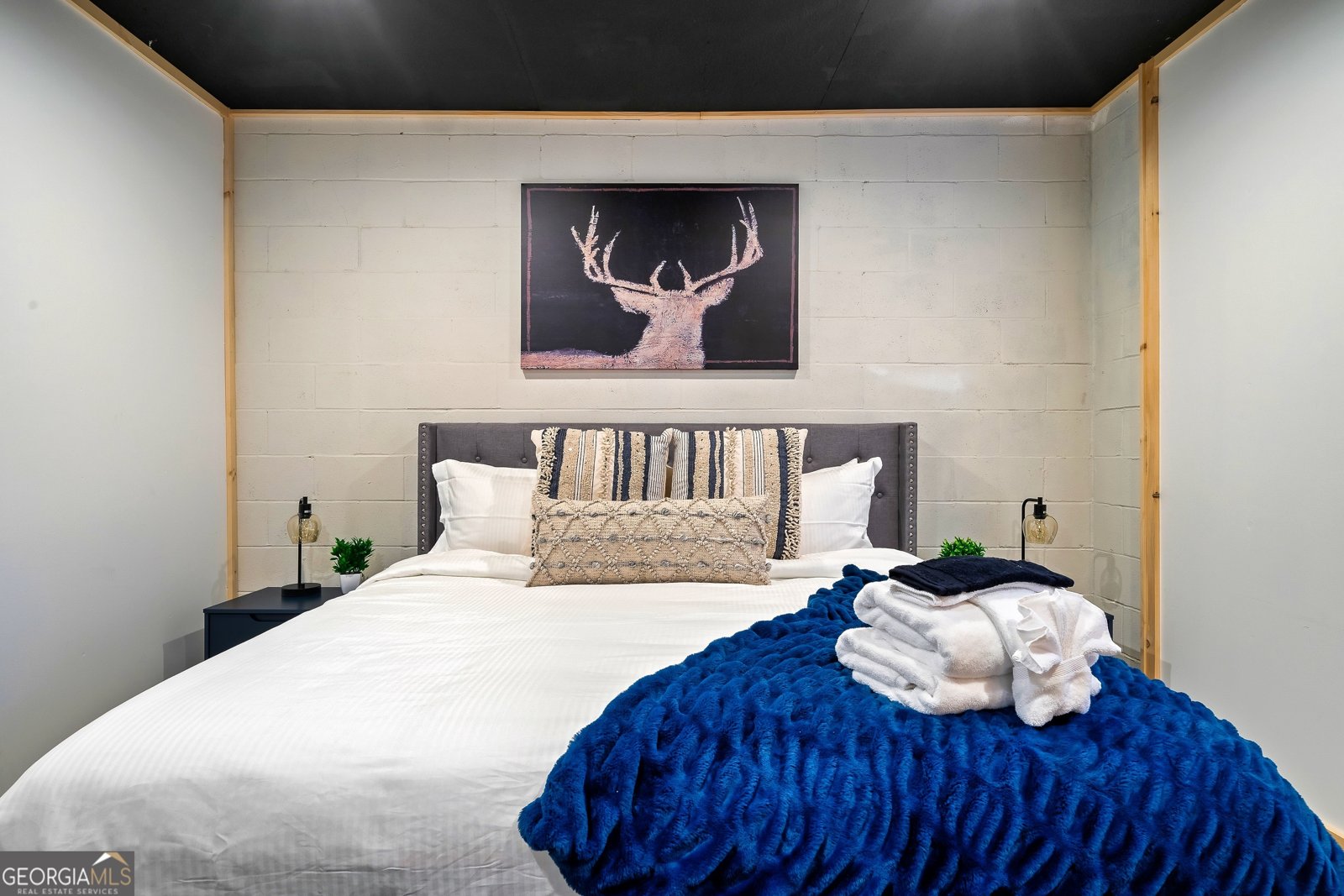 239 Ernest Alta Circle Blue Ridge - 13