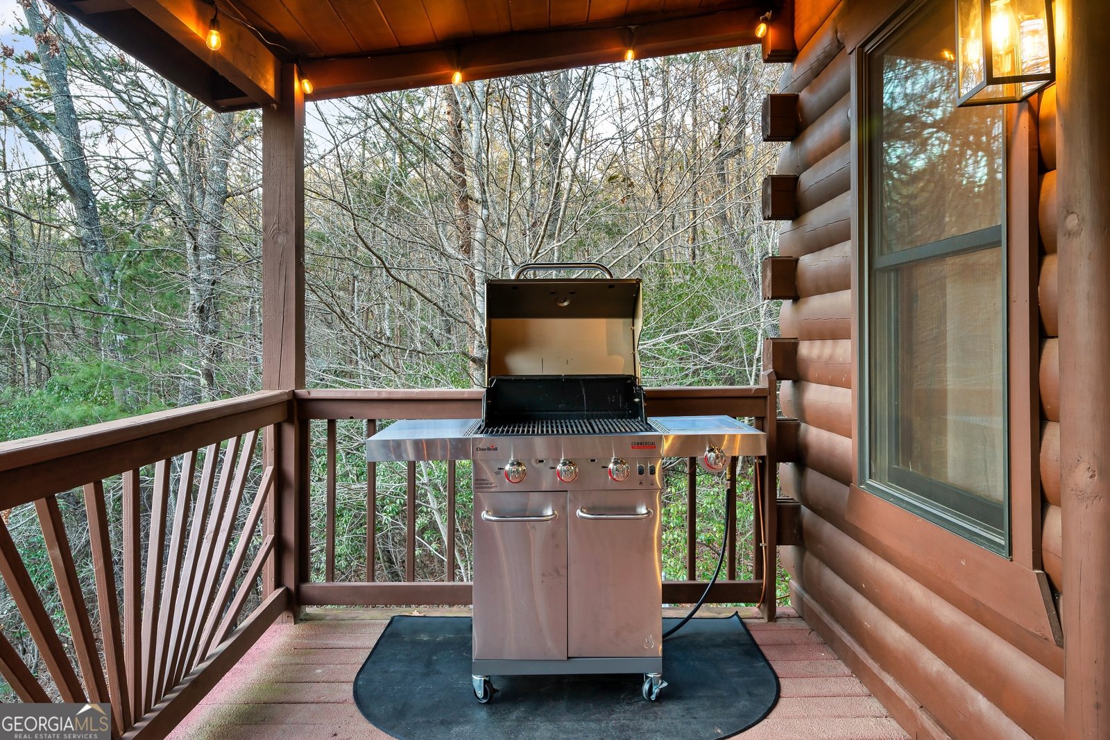 239 Ernest Alta Circle Blue Ridge - 49