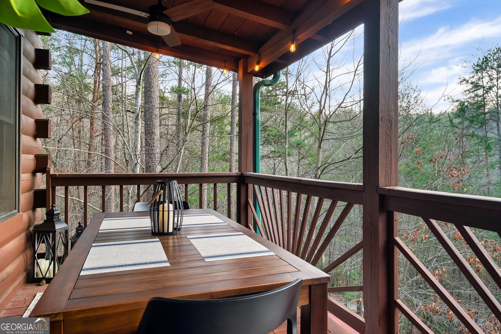 239 Ernest Alta Circle Blue Ridge - 50