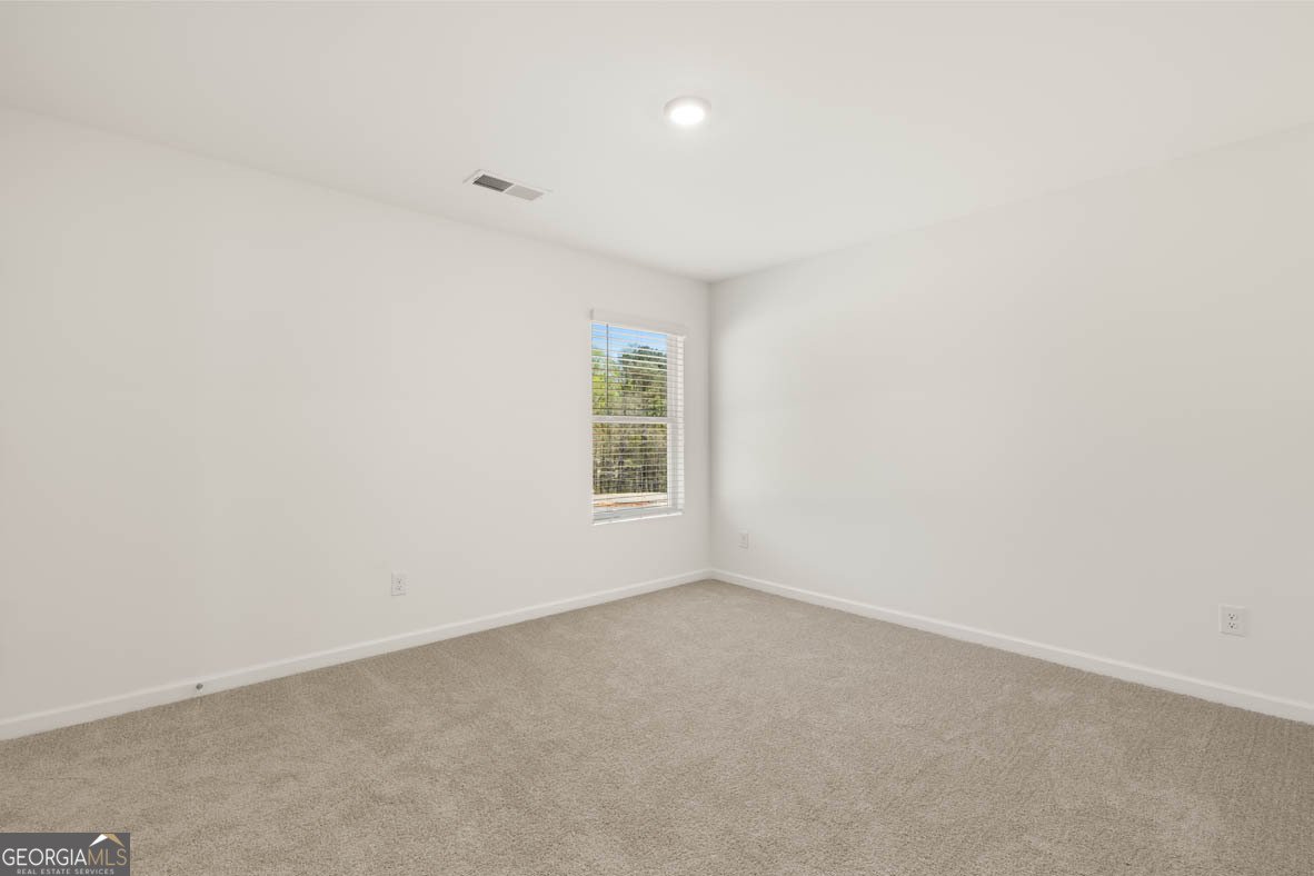 225 Lauritsen Way Newnan - 21