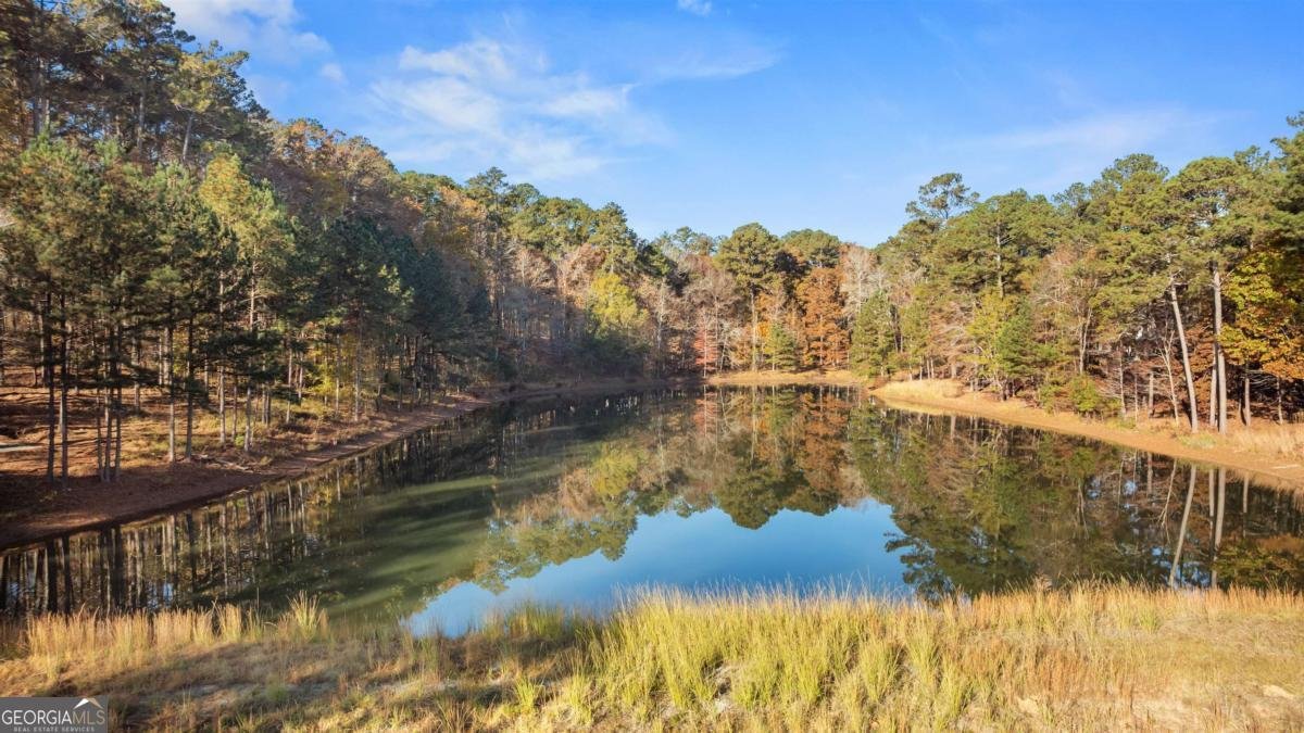 1800 Osprey Poynte Greensboro - 49