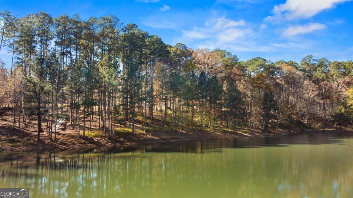 1800 Osprey Poynte Greensboro - 66