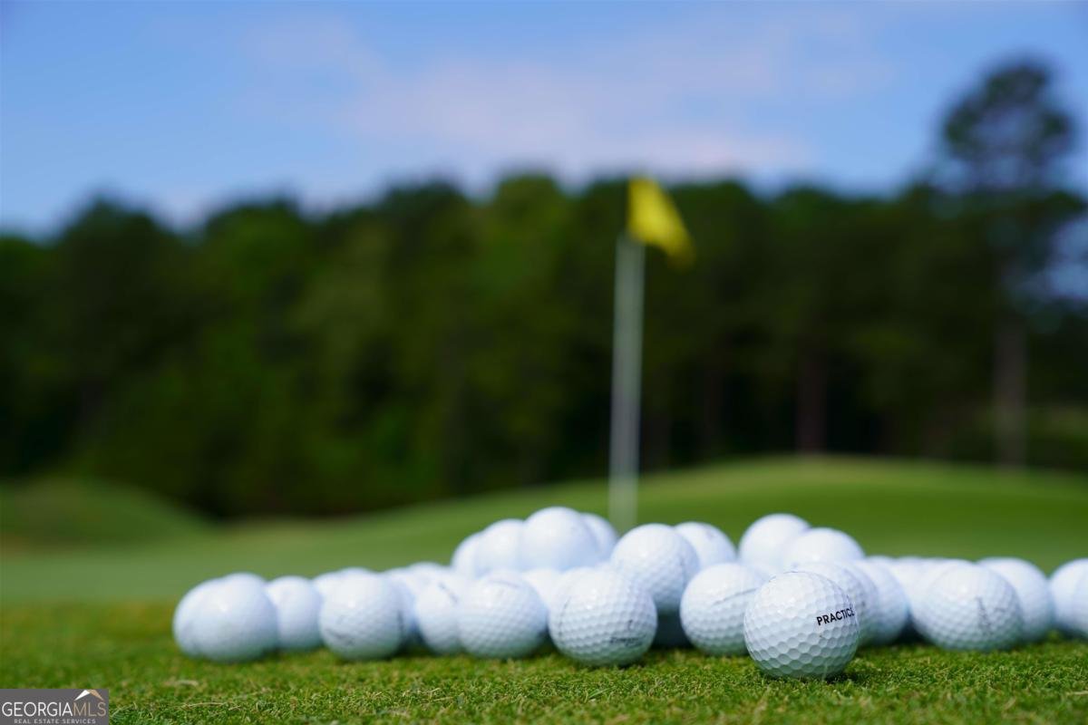 1800 Osprey Poynte Greensboro - 74