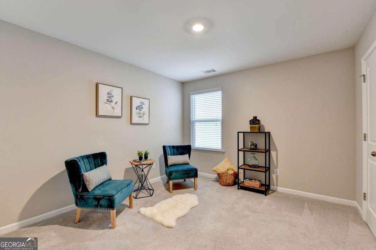 4335 Magpie Drive Hoschton - 40