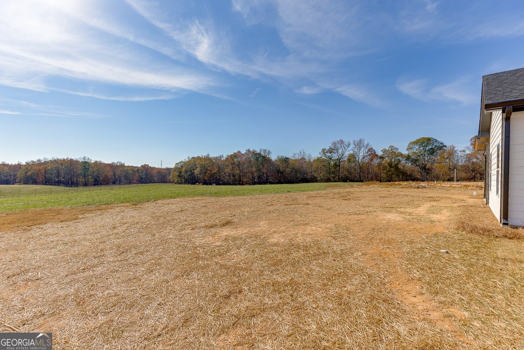 102 Creek Stone Drive Hartwell - 42