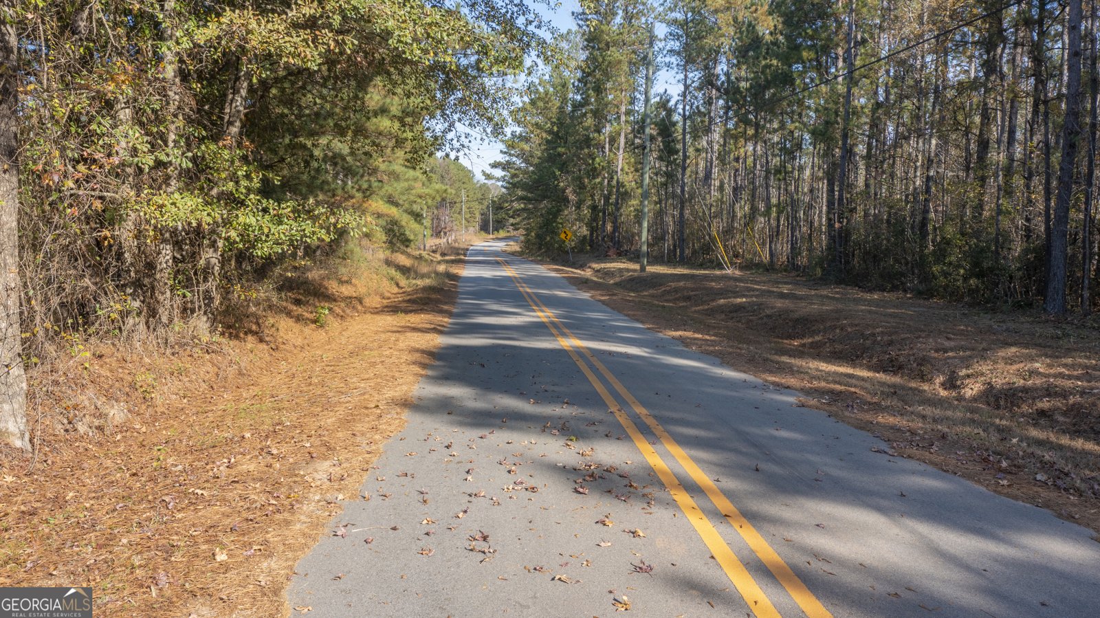 2717 Mount Pilgrim Road Greenville - 66