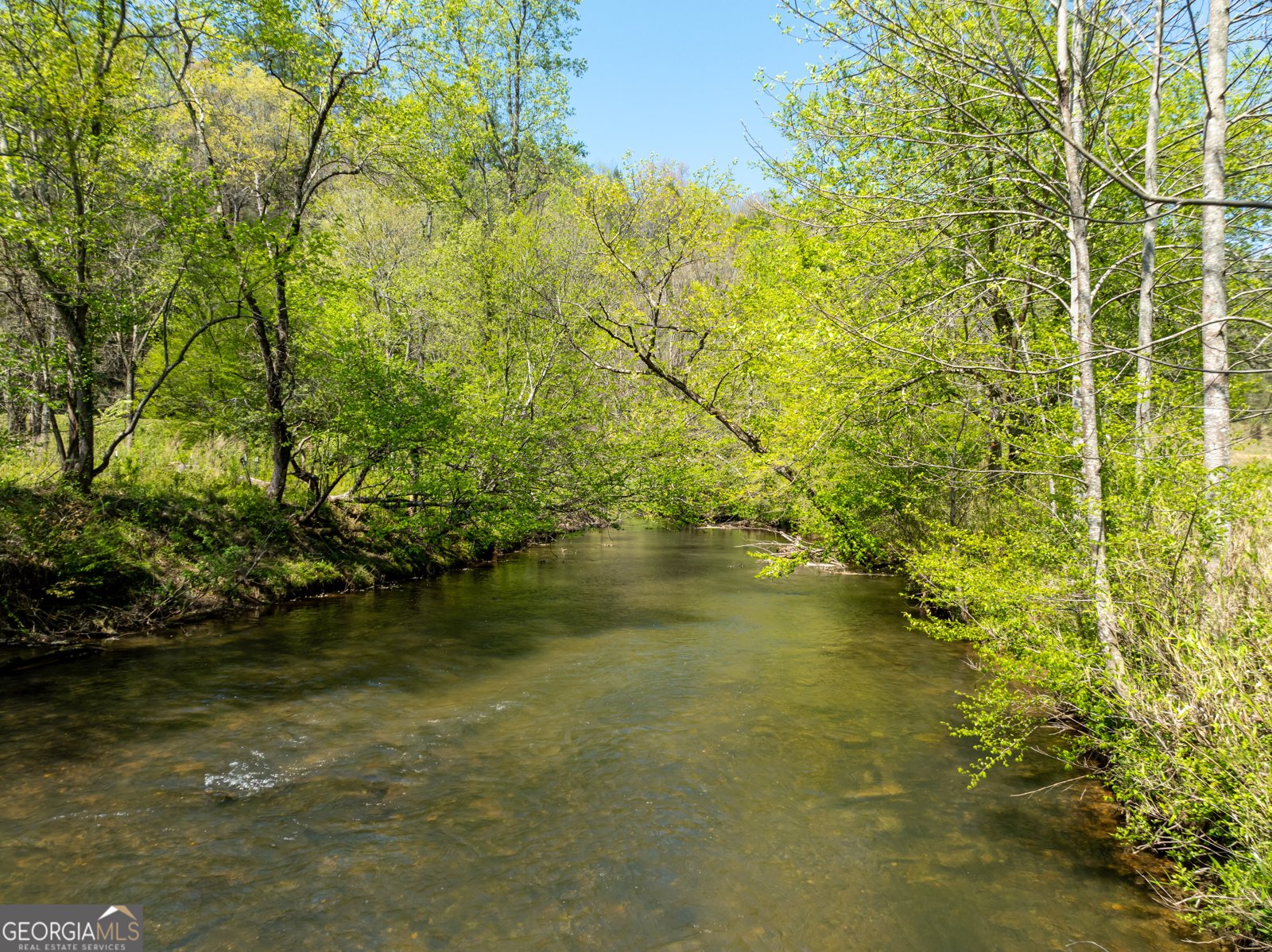 200 Lookiba Lane Ellijay - 50