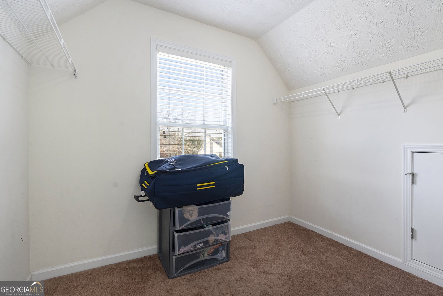 1359 River Club Drive Conyers - 28