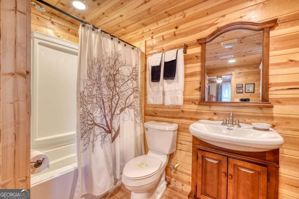 518 Rizzitello Lane Blairsville - 29