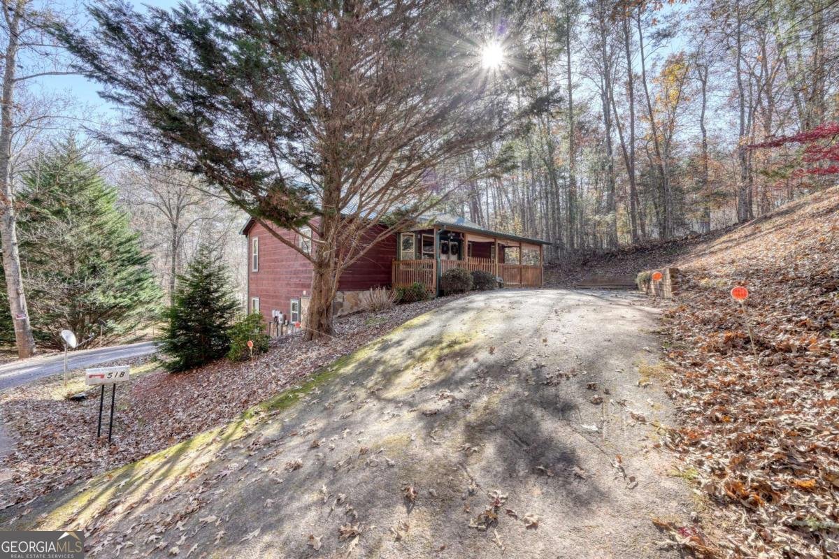 518 Rizzitello Lane Blairsville - 39