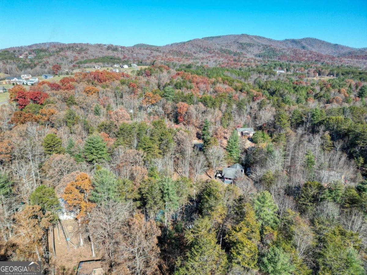 518 Rizzitello Lane Blairsville - 41