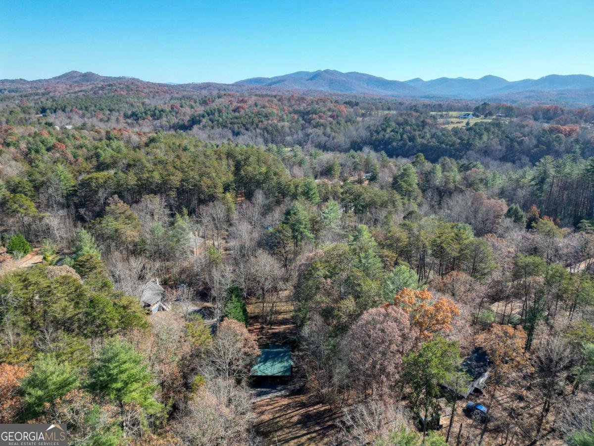 518 Rizzitello Lane Blairsville - 42