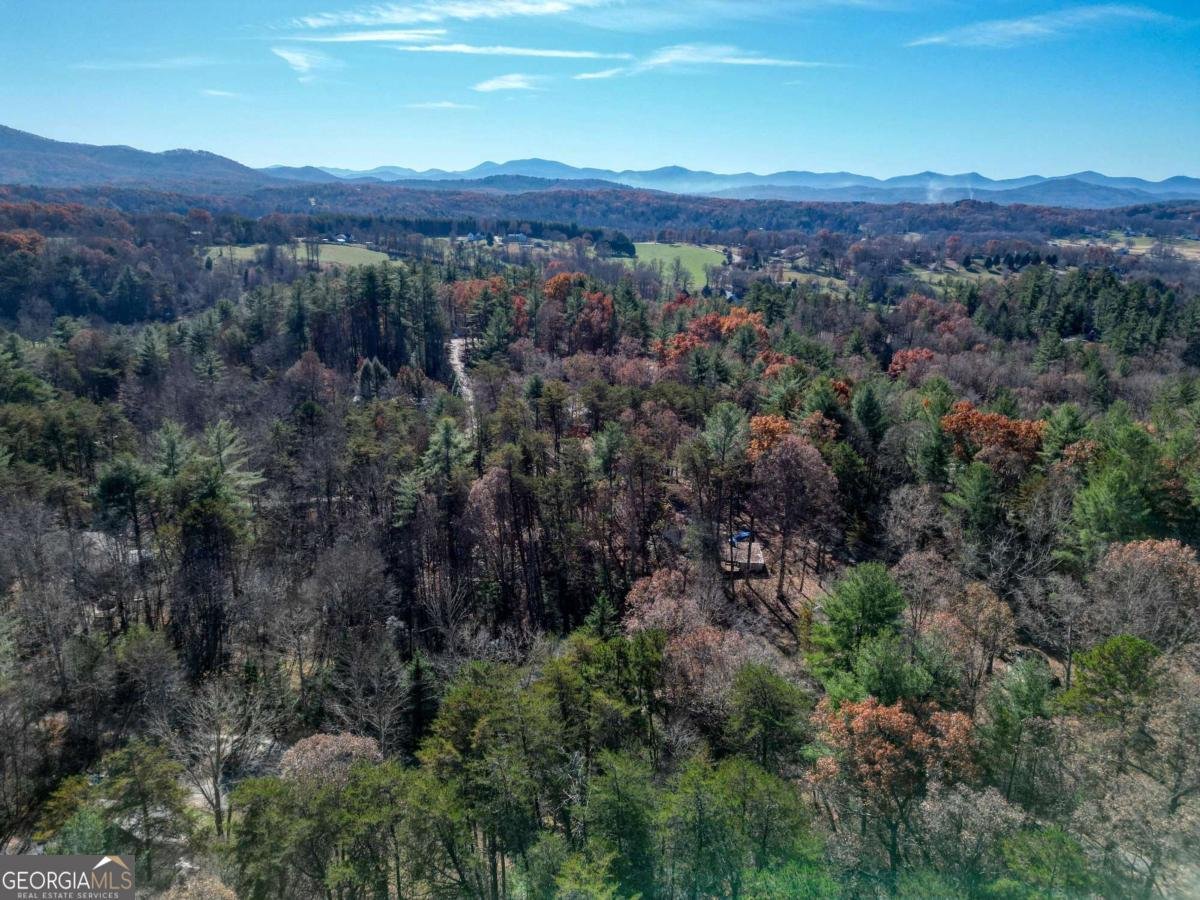 518 Rizzitello Lane Blairsville - 43