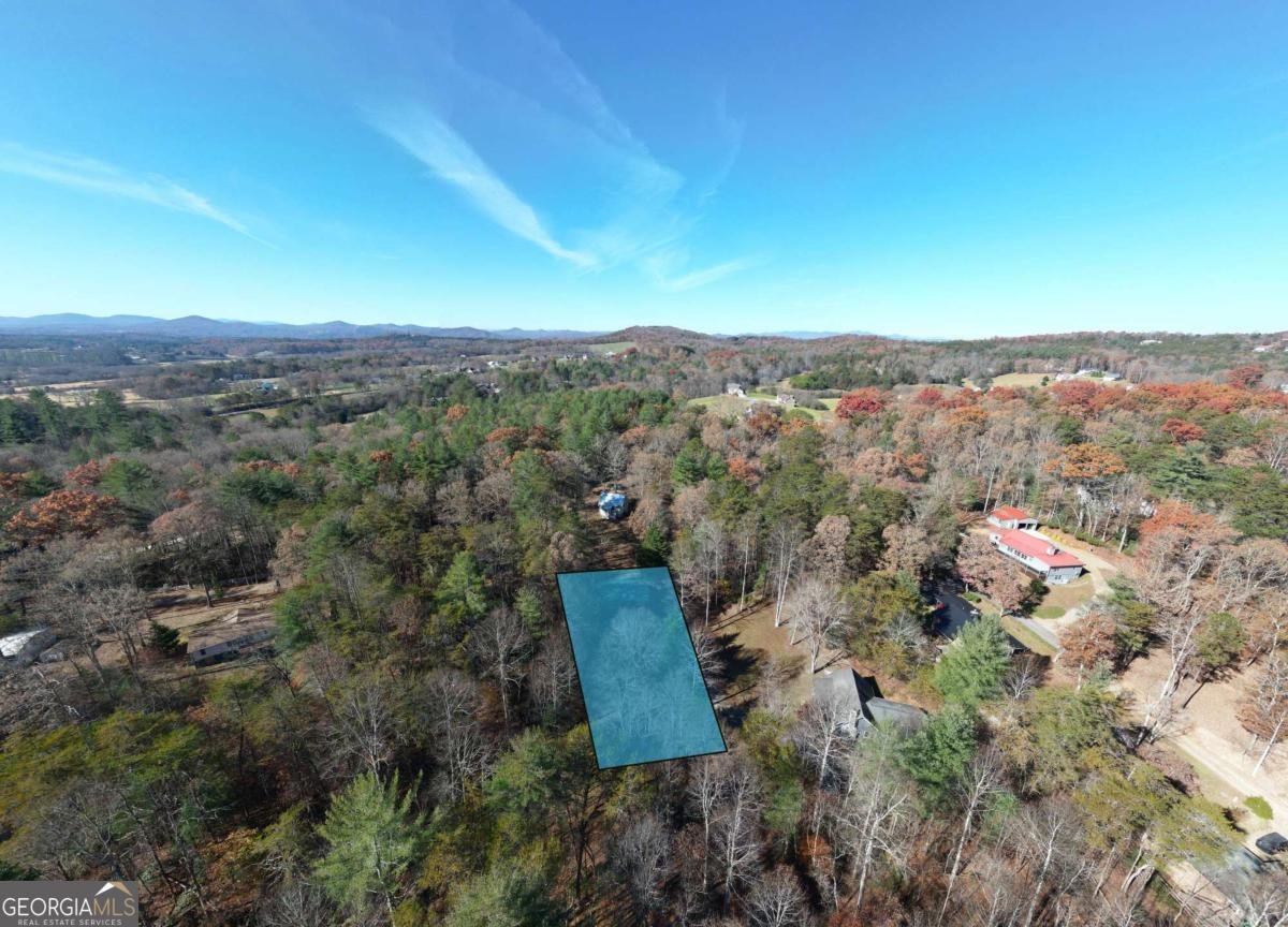 518 Rizzitello Lane Blairsville - 44