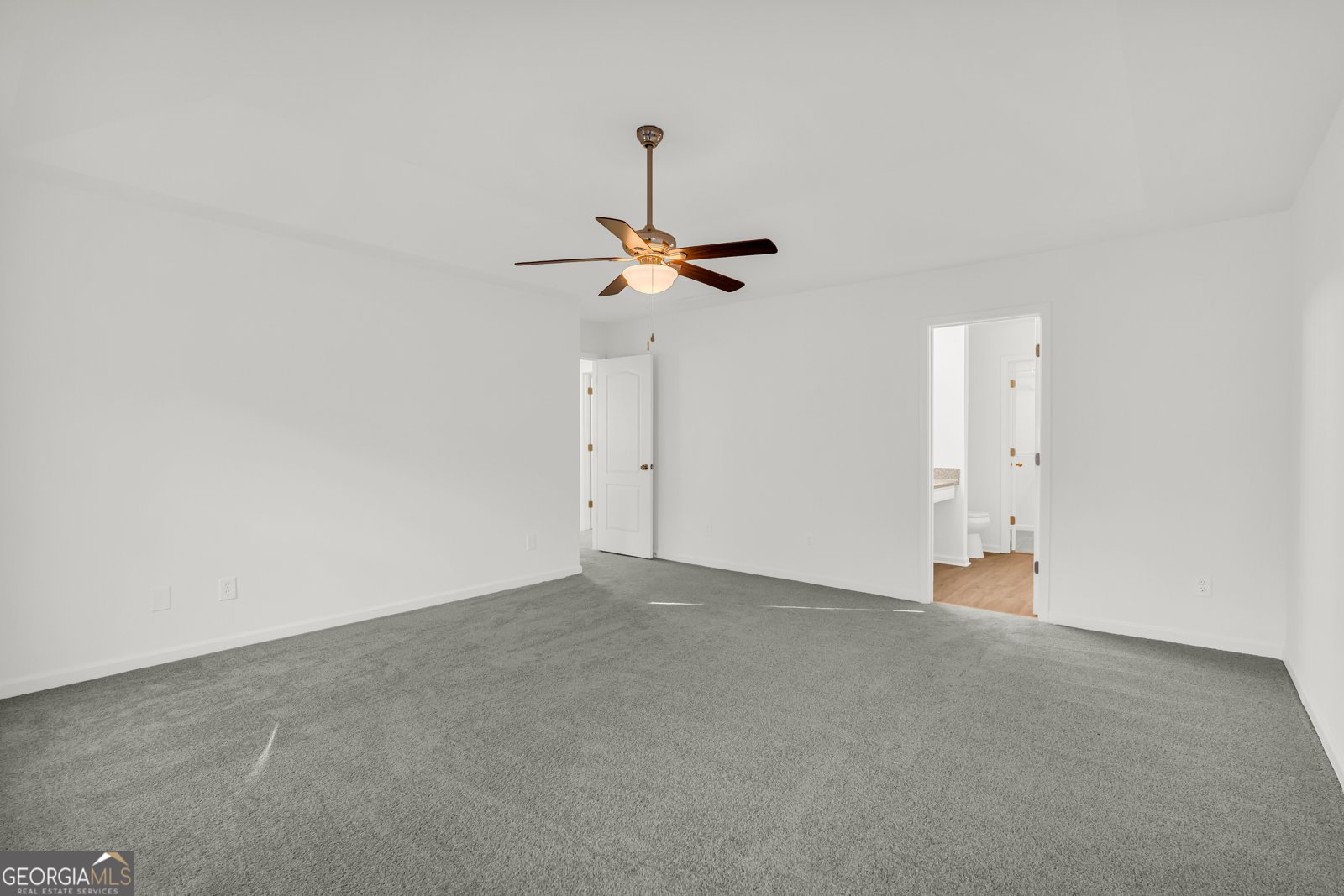 3001 Leatherleaf Trail Douglasville - 38