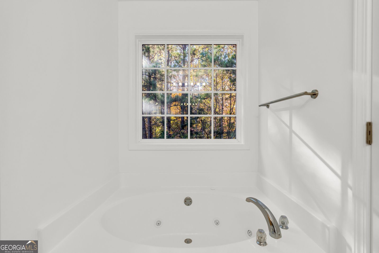 3001 Leatherleaf Trail Douglasville - 43