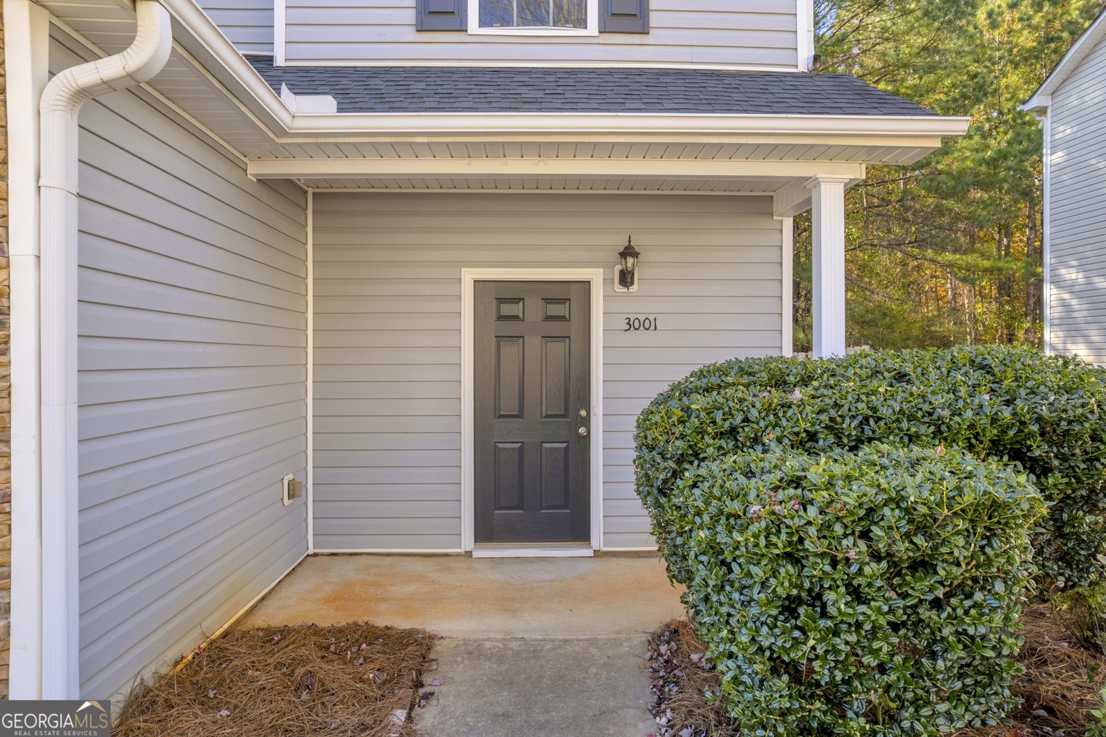 3001 Leatherleaf Trail Douglasville - 52