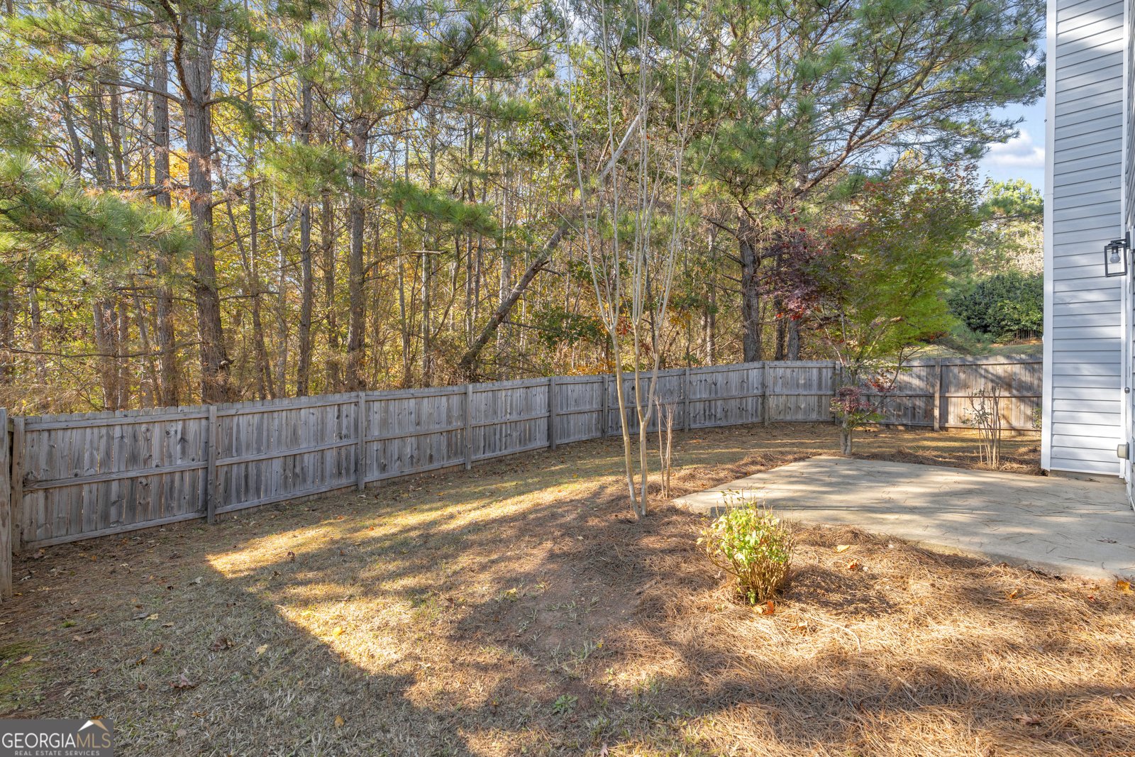 3001 Leatherleaf Trail Douglasville - 56
