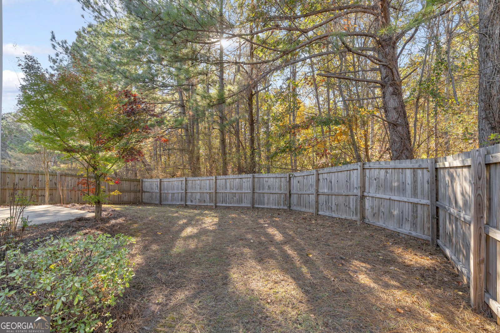 3001 Leatherleaf Trail Douglasville - 57