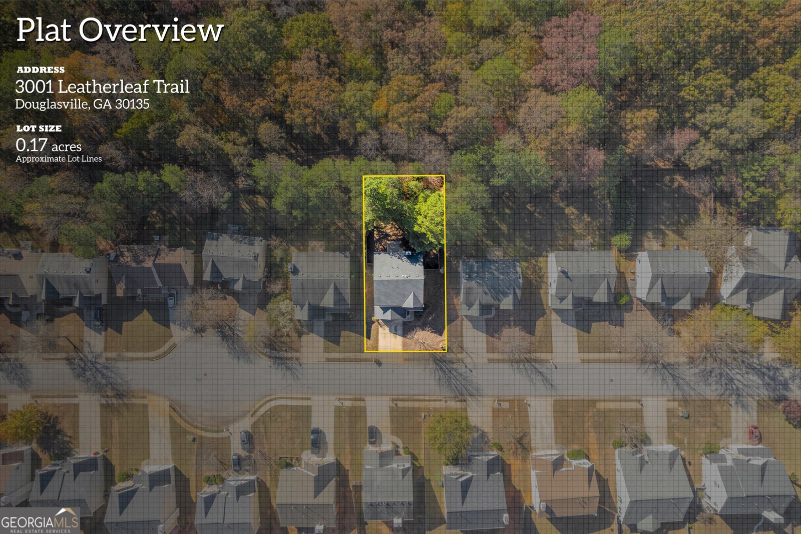 3001 Leatherleaf Trail Douglasville - 60