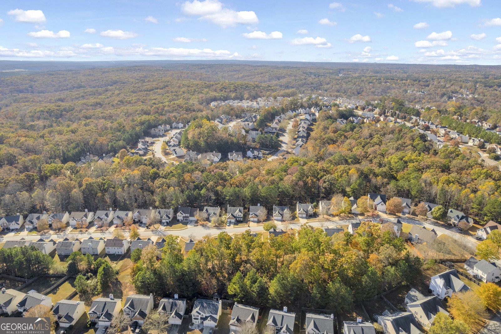 3001 Leatherleaf Trail Douglasville - 63