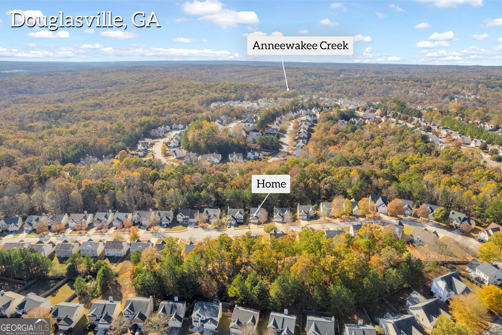 3001 Leatherleaf Trail Douglasville - 64