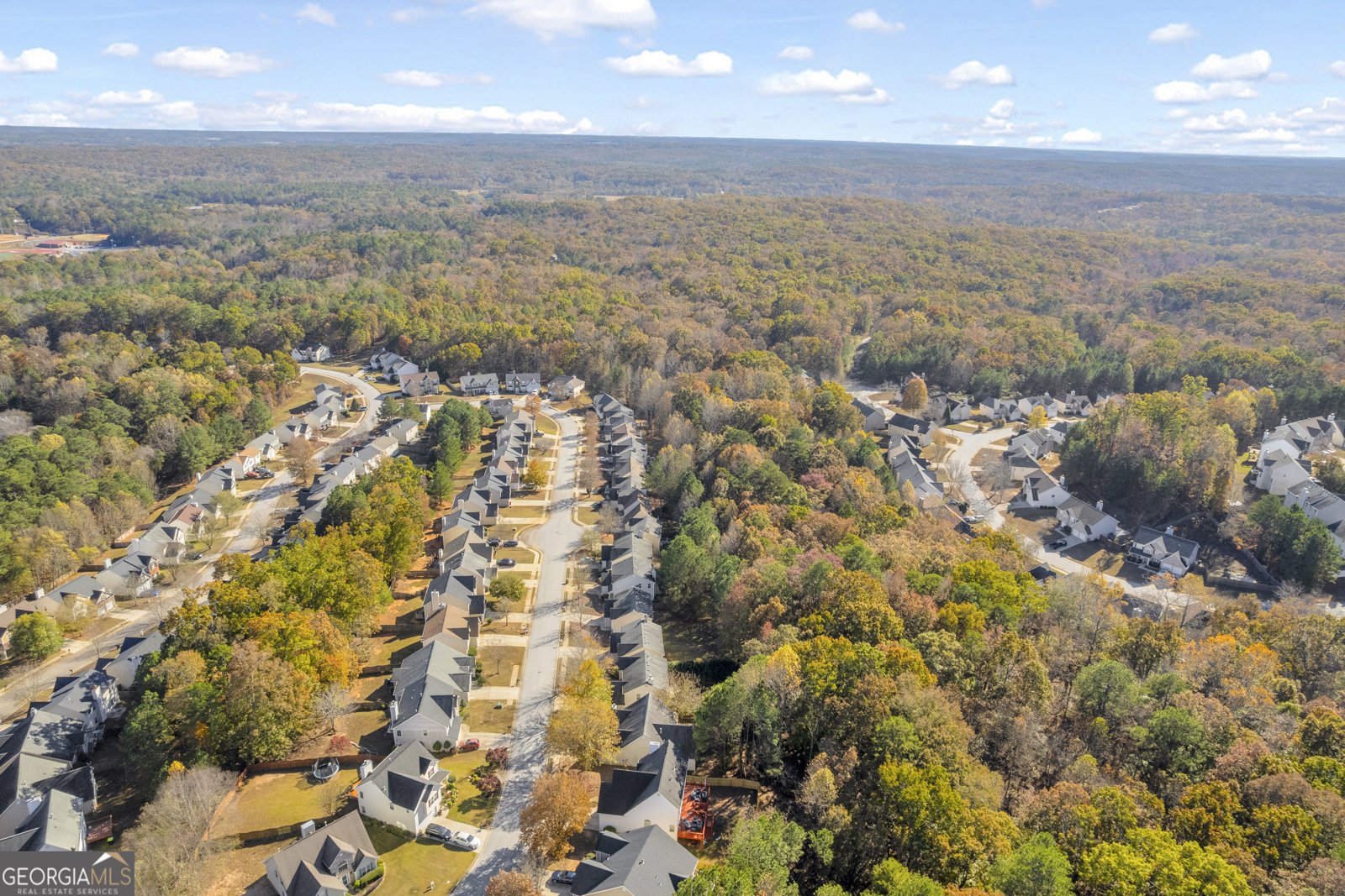 3001 Leatherleaf Trail Douglasville - 66