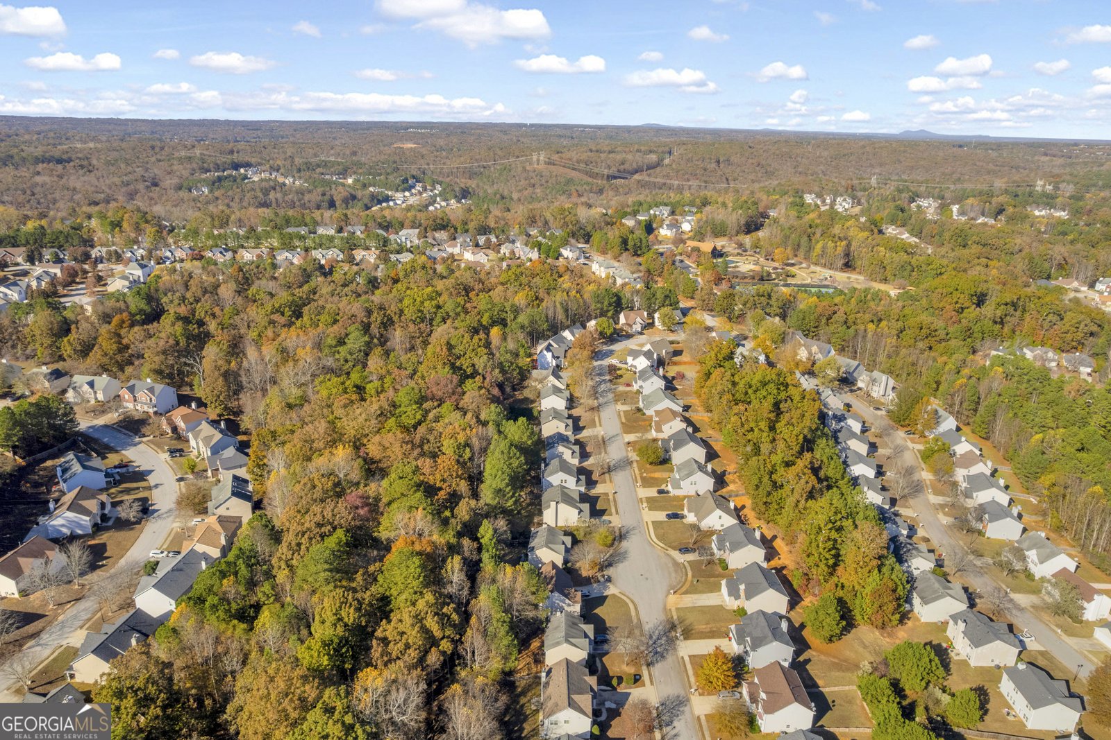 3001 Leatherleaf Trail Douglasville - 71