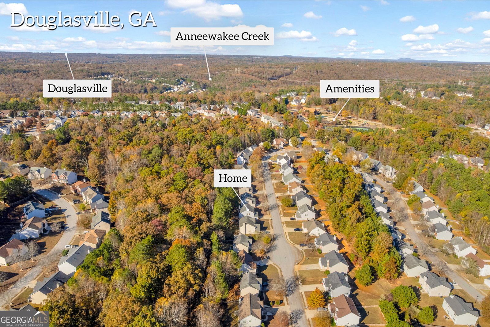 3001 Leatherleaf Trail Douglasville - 72